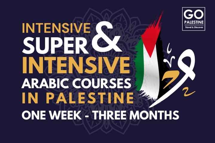 Top 10 Volunteer in Gaza Opportunities in 2025: A Complete Guide